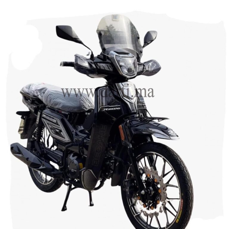 RIBEIRO 33 CYCLOMOTEUR BECANE MODÈLE 2025 - DARTILUX Maroc